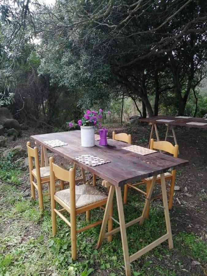 Eucaliptus Farm Retreat Guest House Santa Teresa Gallura Exterior photo